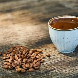 Arabica Coffee Making Classes